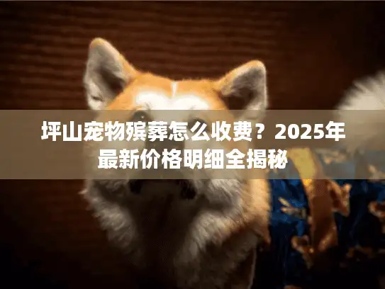 坪山宠物殡葬怎么收费？2025年最新价格明细全揭秘