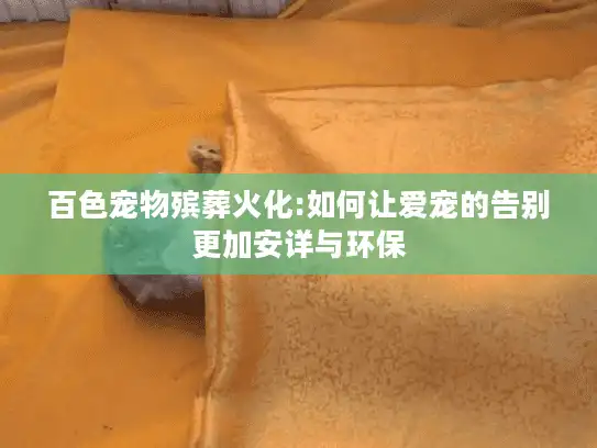 百色宠物殡葬火化:如何让爱宠的告别更加安详与环保