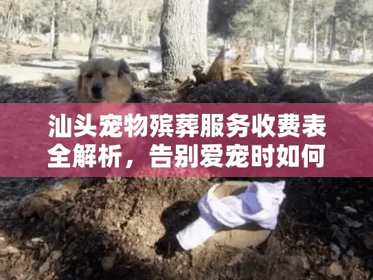 汕头宠物殡葬服务收费表全解析，告别爱宠时如何避免隐形消费？