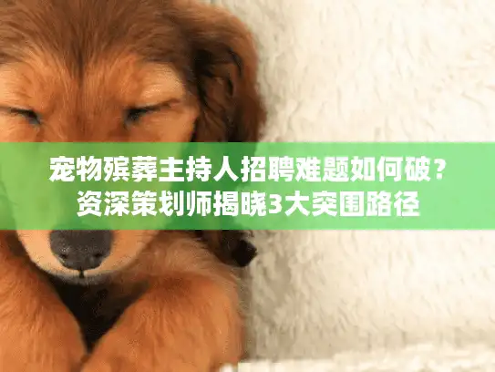 宠物殡葬主持人招聘难题如何破？资深策划师揭晓3大突围路径
