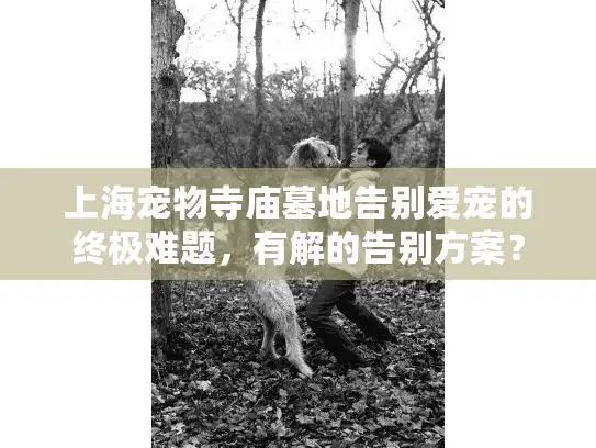 上海宠物寺庙墓地告别爱宠的终极难题，有解的告别方案？