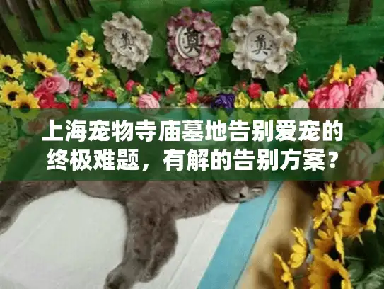 上海宠物寺庙墓地告别爱宠的终极难题，有解的告别方案？