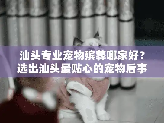 汕头专业宠物殡葬哪家好？选出汕头最贴心的宠物后事服务机构