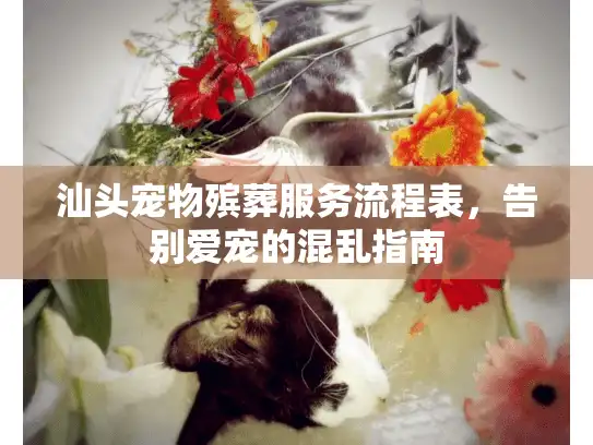 汕头宠物殡葬服务流程表，告别爱宠的混乱指南