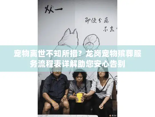 宠物离世不知所措？龙岗宠物殡葬服务流程表详解助您安心告别
