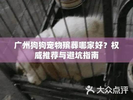 广州狗狗宠物殡葬哪家好？权威推荐与避坑指南