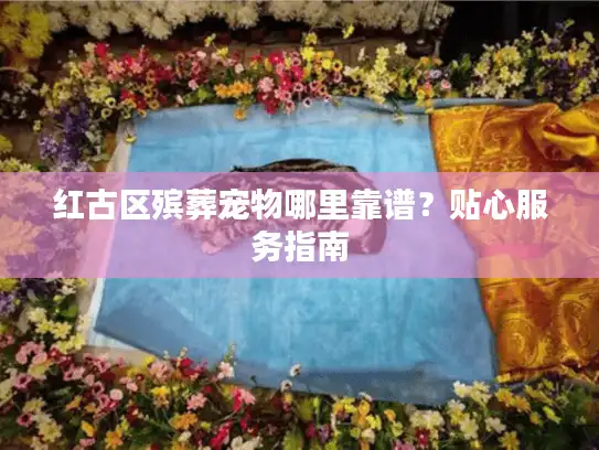 红古区殡葬宠物哪里靠谱？贴心服务指南