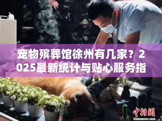 宠物殡葬馆徐州有几家？2025最新统计与贴心服务指南