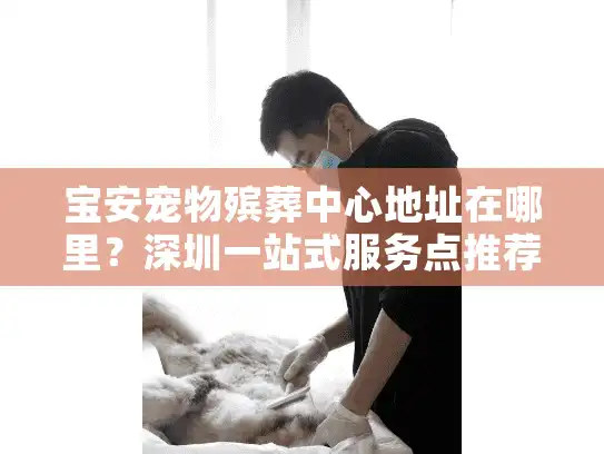 宝安宠物殡葬中心地址在哪里？深圳一站式服务点推荐