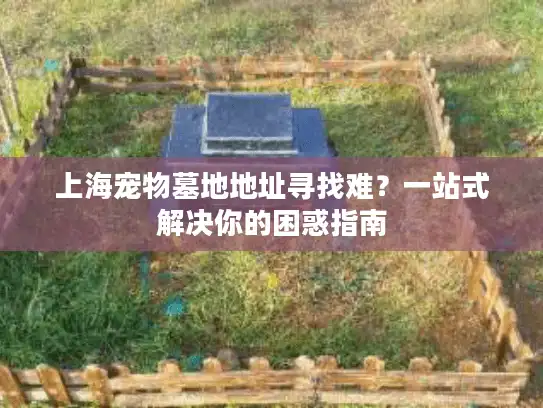 上海宠物墓地地址寻找难？一站式解决你的困惑指南