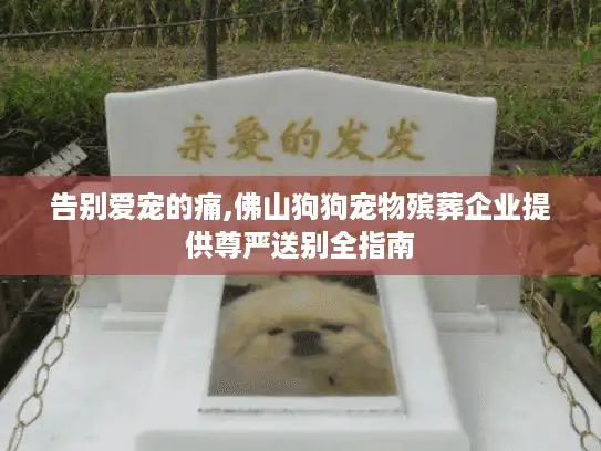 告别爱宠的痛,佛山狗狗宠物殡葬企业提供尊严送别全指南