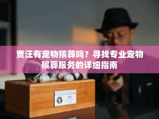 贾汪有宠物殡葬吗？寻找专业宠物殡葬服务的详细指南