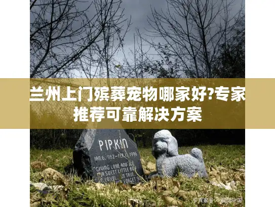 兰州上门殡葬宠物哪家好?专家推荐可靠解决方案
