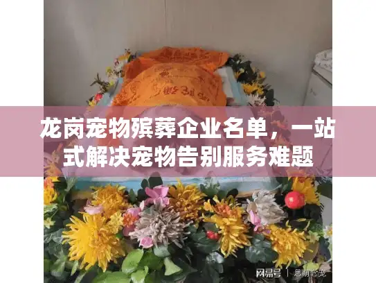 龙岗宠物殡葬企业名单，一站式解决宠物告别服务难题
