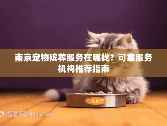 南京宠物殡葬服务在哪找？可靠服务机构推荐指南