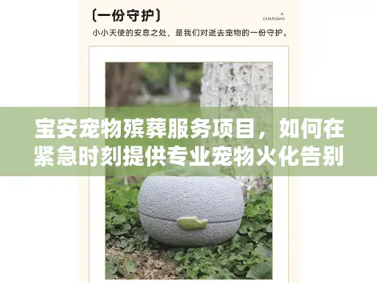 宝安宠物殡葬服务项目，如何在紧急时刻提供专业宠物火化告别仪式？