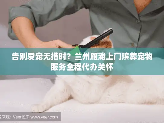 告别爱宠无措时？兰州雁滩上门殡葬宠物服务全程代办关怀