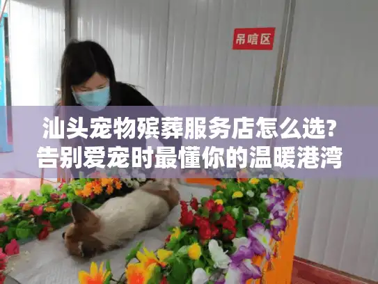 汕头宠物殡葬服务店怎么选?告别爱宠时最懂你的温暖港湾