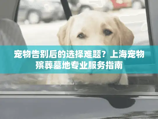 宠物告别后的选择难题？上海宠物殡葬墓地专业服务指南