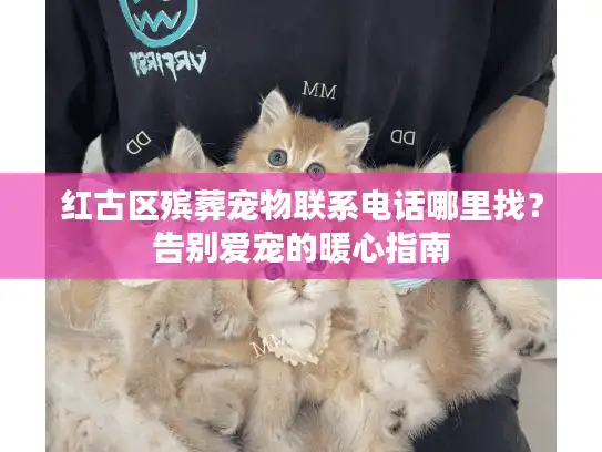 红古区殡葬宠物联系电话哪里找？告别爱宠的暖心指南