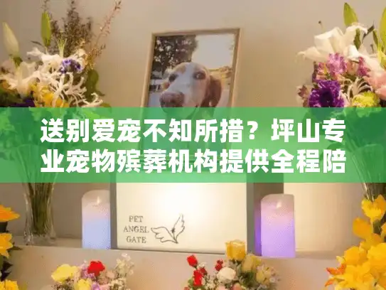 送别爱宠不知所措？坪山专业宠物殡葬机构提供全程陪同告别方案