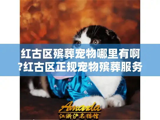 红古区殡葬宠物哪里有啊?红古区正规宠物殡葬服务指南