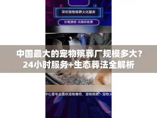 中国最大的宠物殡葬厂规模多大？24小时服务+生态葬法全解析
