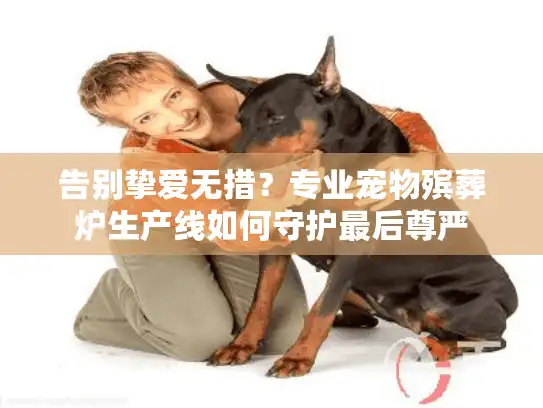 告别挚爱无措？专业宠物殡葬炉生产线如何守护最后尊严