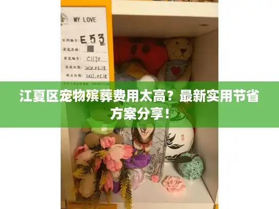 江夏区宠物殡葬费用太高？最新实用节省方案分享！