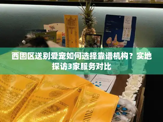 西固区送别爱宠如何选择靠谱机构？实地探访3家服务对比