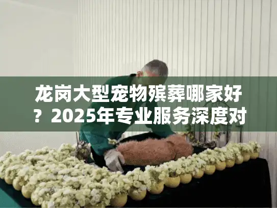 龙岗大型宠物殡葬哪家好？2025年专业服务深度对比指南