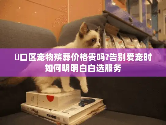 硚口区宠物殡葬价格贵吗?告别爱宠时如何明明白白选服务