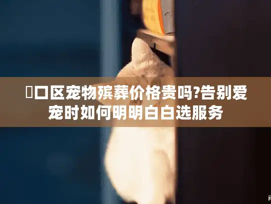 硚口区宠物殡葬价格贵吗?告别爱宠时如何明明白白选服务
