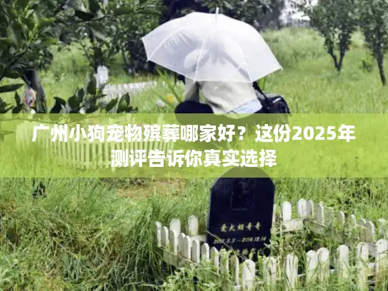 广州小狗宠物殡葬哪家好？这份2025年测评告诉你真实选择