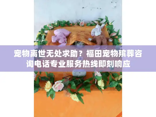 宠物离世无处求助？福田宠物殡葬咨询电话专业服务热线即刻响应