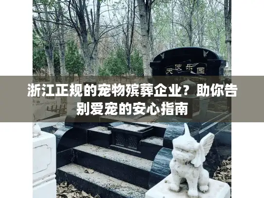 浙江正规的宠物殡葬企业？助你告别爱宠的安心指南