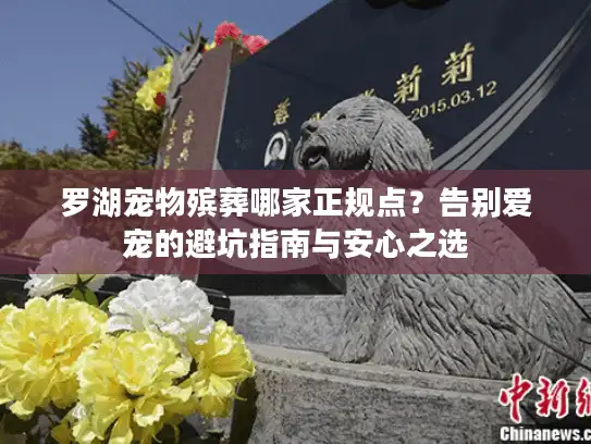 罗湖宠物殡葬哪家正规点？告别爱宠的避坑指南与安心之选