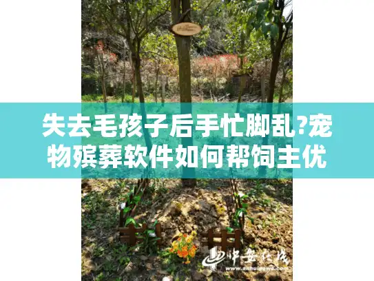 失去毛孩子后手忙脚乱?宠物殡葬软件如何帮饲主优雅告别