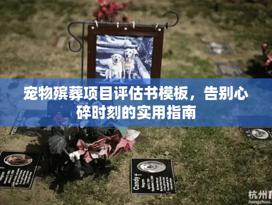 宠物殡葬项目评估书模板，告别心碎时刻的实用指南