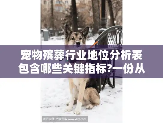 宠物殡葬行业地位分析表包含哪些关键指标?一份从业者视角的深度解读