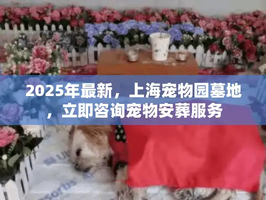 2025年最新，上海宠物园墓地，立即咨询宠物安葬服务