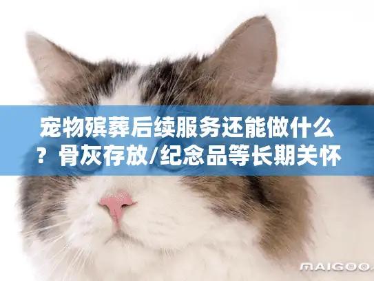 宠物殡葬后续服务还能做什么？骨灰存放/纪念品等长期关怀方案