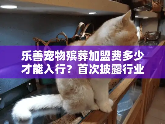 乐善宠物殡葬加盟费多少才能入行？首次披露行业真实成本！