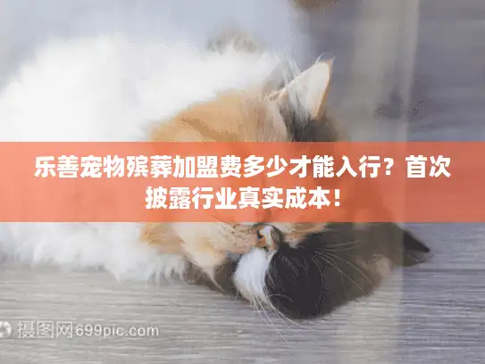 乐善宠物殡葬加盟费多少才能入行？首次披露行业真实成本！