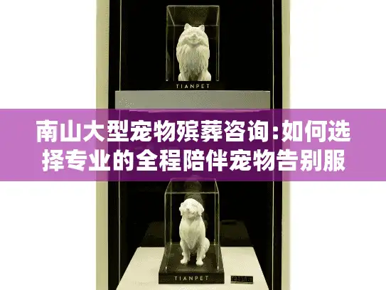 南山大型宠物殡葬咨询:如何选择专业的全程陪伴宠物告别服务?