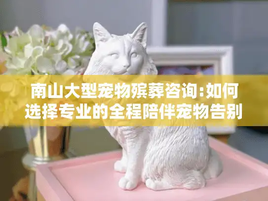 南山大型宠物殡葬咨询:如何选择专业的全程陪伴宠物告别服务?
