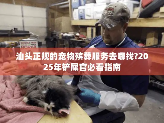 汕头正规的宠物殡葬服务去哪找?2025年铲屎官必看指南
