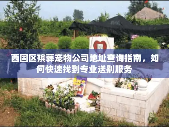 西固区殡葬宠物公司地址查询指南，如何快速找到专业送别服务