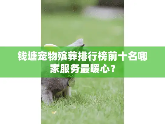 钱塘宠物殡葬排行榜前十名哪家服务最暖心？