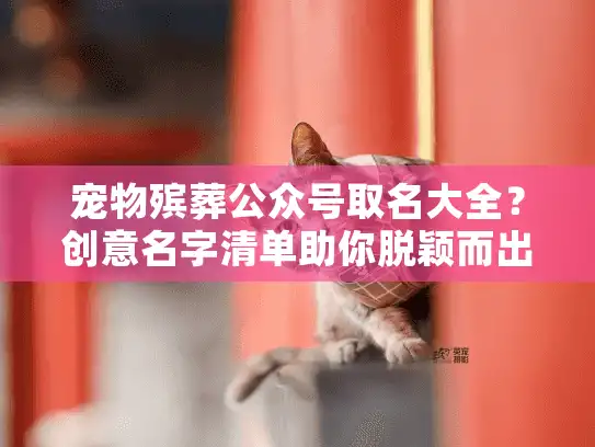 宠物殡葬公众号取名大全？创意名字清单助你脱颖而出